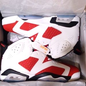 Air Jordan retro 6 carmine